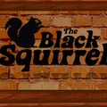Black Squirrel Bar